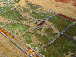 Glas-in-lood kit verwijderen met zaagsel